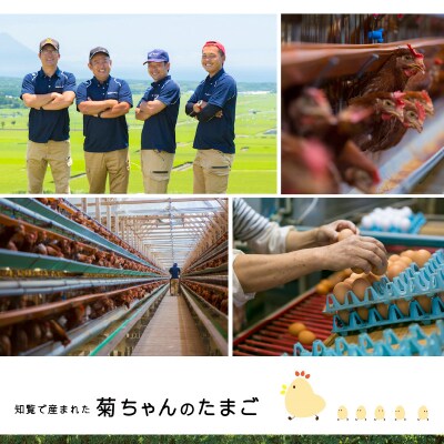 【全6回】菊ちゃんのたまご(特級卵)定期便