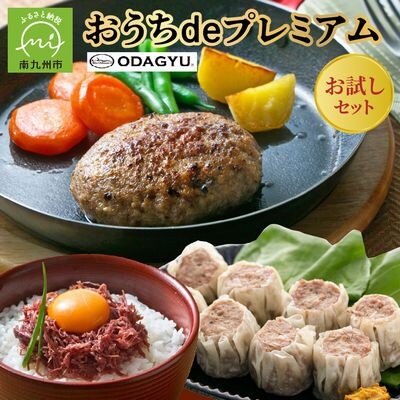小田牛の「おうちdeプレミアム」お試し セット