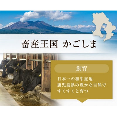 期間限定!鹿児島黒毛和牛サーロインステーキ300g