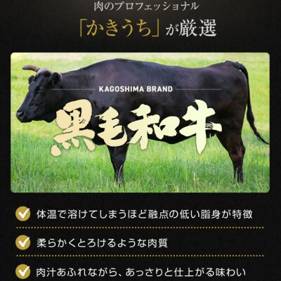 4等級をたっぷり!鹿児島黒毛和牛肩ロース切落し500g