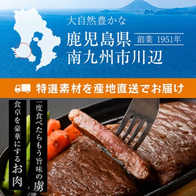 期間限定!鹿児島黒毛和牛サーロインステーキ250g×2枚