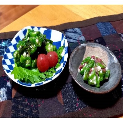 産地直送 朝採れオクラ