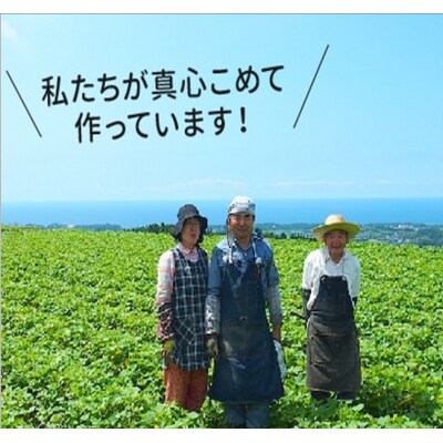 産地直送 朝採れオクラ