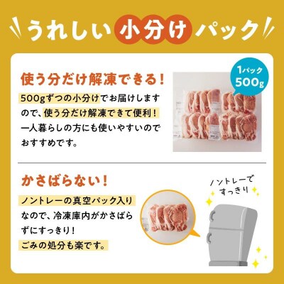鹿児島県産豚ローススライス2kg