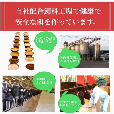 5等級黒毛和牛サーロインステーキ300g