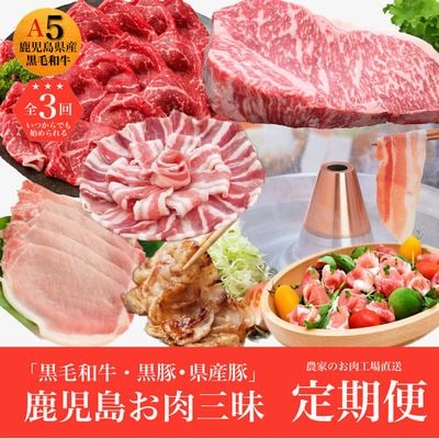 農家のお肉工場直送【3回定期便】鹿児島お肉三昧定期便
