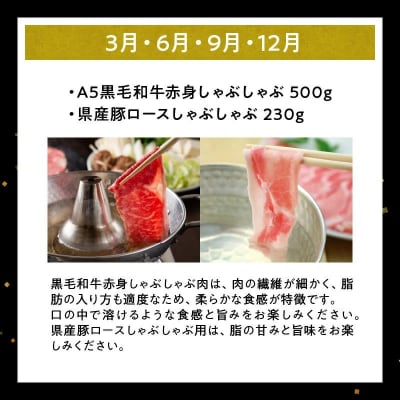 農家のお肉工場直送【3回定期便】鹿児島県産お肉満足定期便