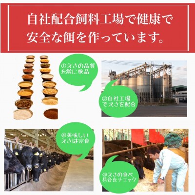 5等級黒毛和牛サーロインすき焼き・しゃぶしゃぶ300gシート入り
