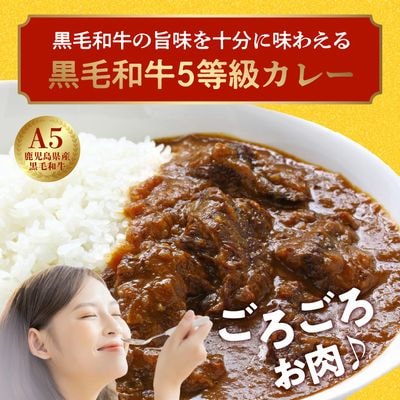 5等級黒毛和牛カレー ごろごろお肉入り200g×6個
