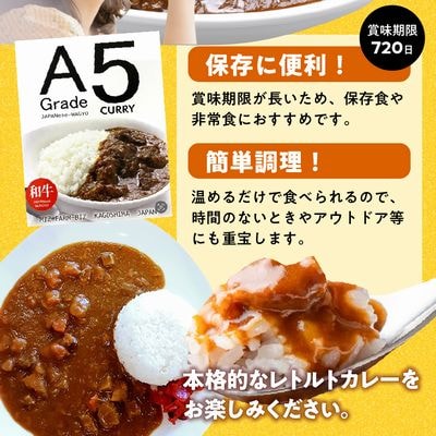 5等級黒毛和牛カレー ごろごろお肉入り200g×6個