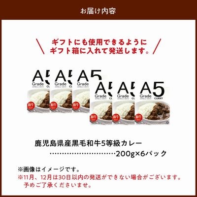 5等級黒毛和牛カレー ごろごろお肉入り200g×6個