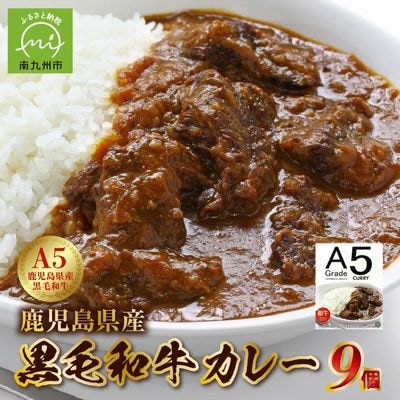 5等級黒毛和牛カレー ごろごろお肉入り200g×9個