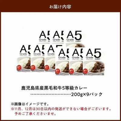 5等級黒毛和牛カレー ごろごろお肉入り200g×9個