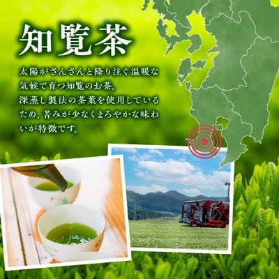 知覧名産 甘みのきいた深蒸し茶 たっぷり1.2kg