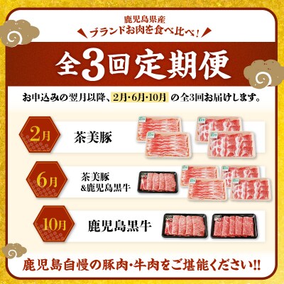 【全3回】鹿児島黒牛・茶美豚食べ比べ定期便