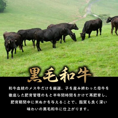 黒毛和牛を普段使いに 黒毛和牛切落し900g