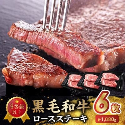 4�����ȏ�!���јa�����[�X�X�e�[�L 6��