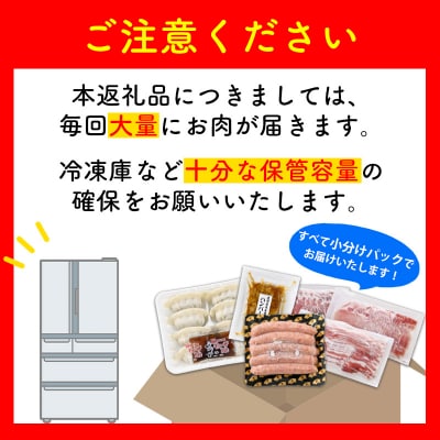【全4回】どどーんと黒豚1頭