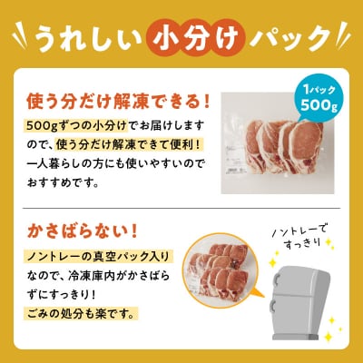 【全6回】鹿児島県産豚ローススライス定期便