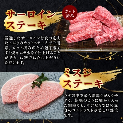 A5等級鹿児島県産黒毛和牛ステーキセット