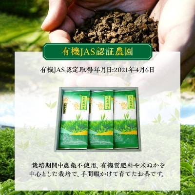 【お歳暮に】お茶で健康!こだわりの知覧茶3本セット