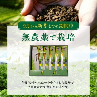 【お歳暮に】知覧特上深蒸し茶5本セット