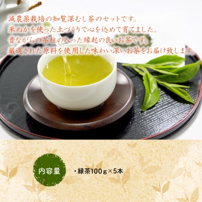 【お歳暮に】お茶で健康一番!知覧厳選緑茶5本セット