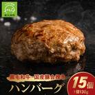 黒毛和牛・国産豚合挽きハンバーグ15個