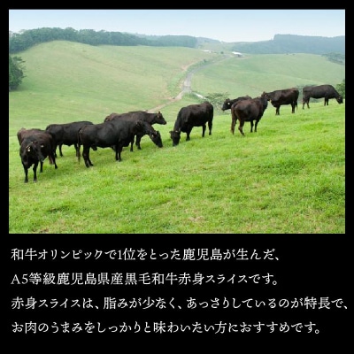 【数量限定・年内配送】 A5等級鹿児島県産黒毛和牛赤身スライス800g