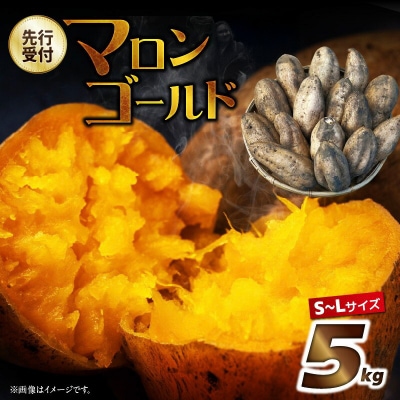 【先行受付!11月順次発送】マロンゴールド5kg