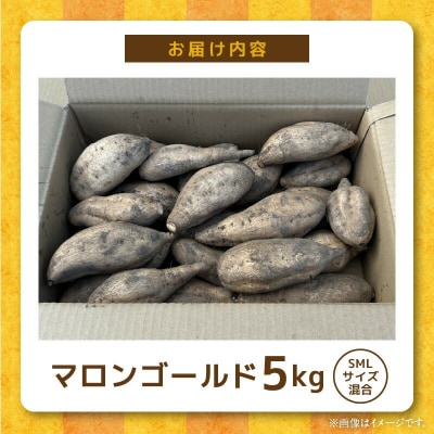 【先行受付!11月順次発送】マロンゴールド5kg