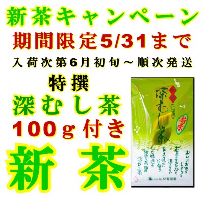 【知覧茶新茶祭り】【期間限定新茶付】知覧茶園のオリジナルペットボトル24本入+特撰深むし茶100g