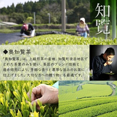 【知覧茶新茶祭り】奥知覧茶 特上煎茶セット