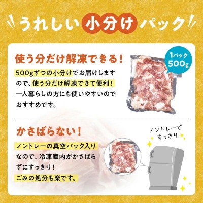 【全3回】鹿児島県産豚切り落とし定期便