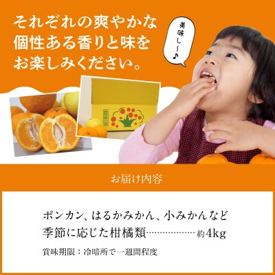 甚平衛堀 みかんの衆