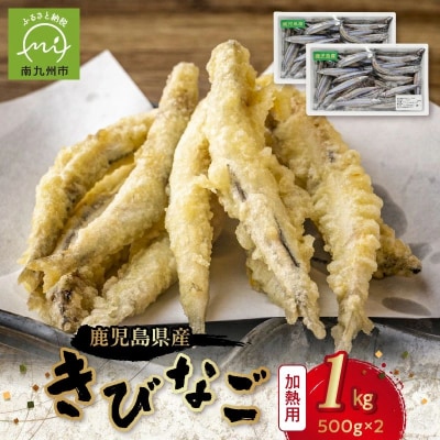 鹿児島県産キビナゴ1kg