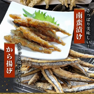 鹿児島県産キビナゴ1kg