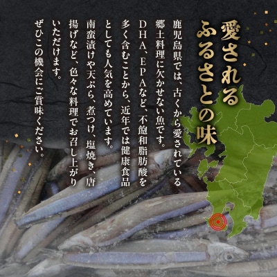鹿児島県産キビナゴ1kg