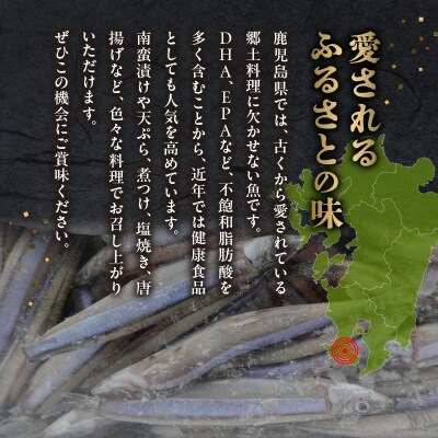 鹿児島県産キビナゴ1kg