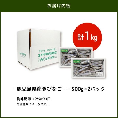 鹿児島県産キビナゴ1kg
