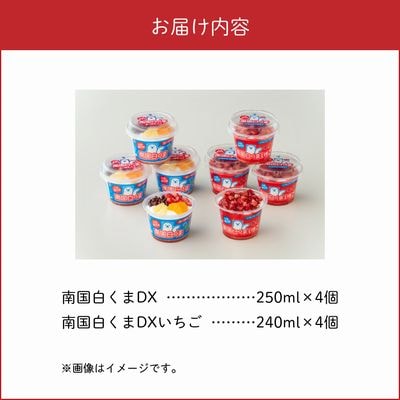 南国白くまDX・南国白くまDXいちご8個詰合せセット