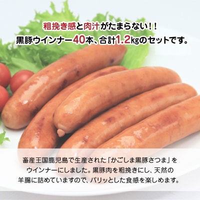 【お中元に】「かごしま黒豚さつま」ウィンナー1.2kg