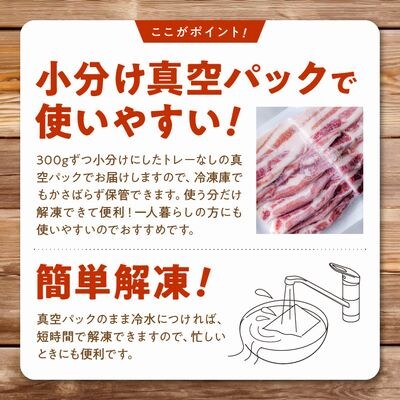 【お中元に】「かごしま黒豚さつま」スライス3種900gセット