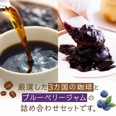 五稜珈琲100g×3ヶ国・ブルーベリージャム250g×2個セット