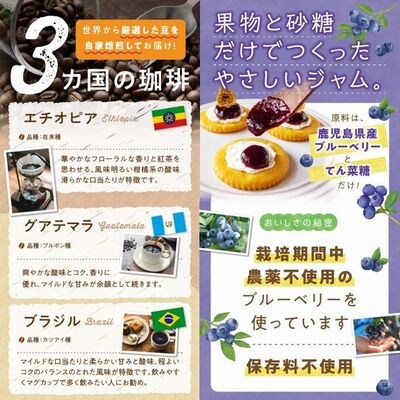 五稜珈琲100g×3ヶ国・ブルーベリージャム250g×2個セット
