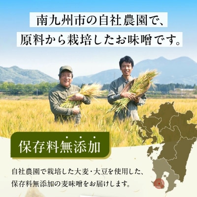 ヤマガミ「耕雲種月」味噌6個セット