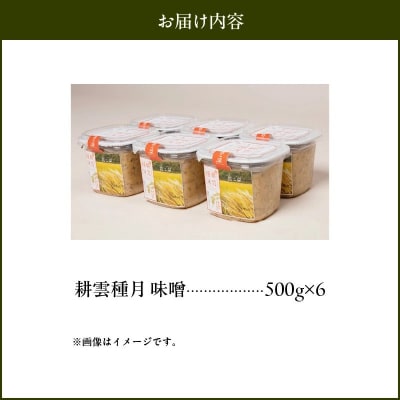ヤマガミ「耕雲種月」味噌6個セット