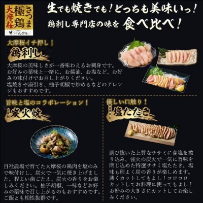 「さつま極鶏大摩桜」鶏刺し3種&特選ササミ塩たたきと炭火焼 食べ比べセット