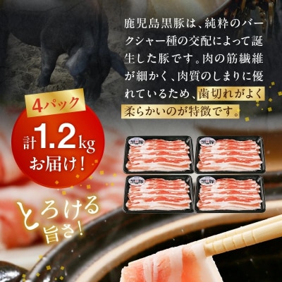 【2026年2月~4月お届け】鹿児島黒豚バラセット1.2kg