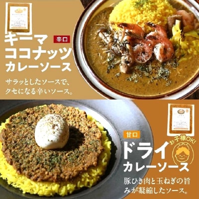 冷凍カレーソース4種5食分